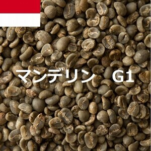 コーヒー生豆　マンデリンG1　10kｇ　送料無料　グリーンビーンズ