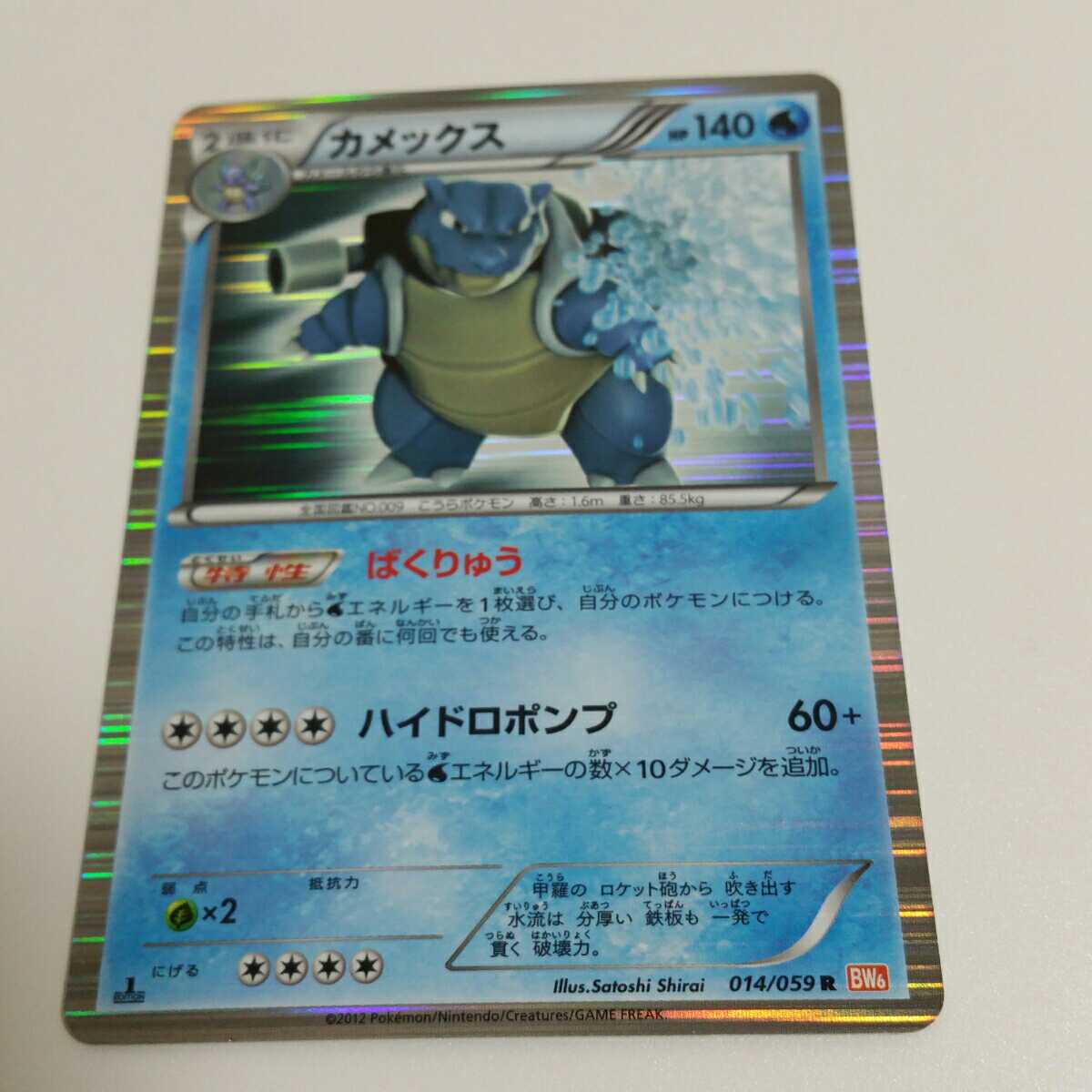 誠実 ポケモン ポケモンカード カメックス シングルカード Www Villanideluca Com