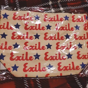 EXILE(エグザイル)◇LIVE TOUR 2008 PERFECT LIVE◇エコバッグ◇ランチトート