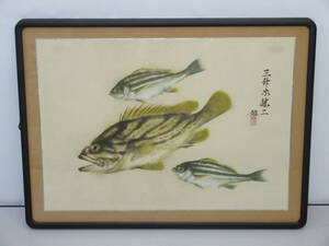 Art hand Auction ★si1405 مؤطرة Katsuji Sanshoya Fish موقعة Rakugo أداء Kokatsu Sanshoya الجيل الثامن عمل فني لوحة مؤطرة مجموعة داخلية ★, عمل فني, تلوين, آحرون