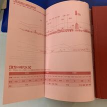 敦煌石窟―精選50窟鑑賞ガイド(莫高窟・楡林窟・西千仏洞) 2003/5/1 樊 錦詩 , 劉 永増 (著)_画像8