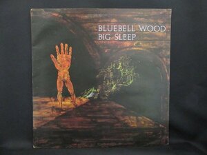 BIG SLEEP★Bluebell Wood UK Pegasus オリジナル MAT-1 1st Press