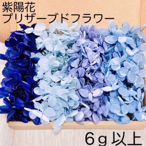 紫陽花 アジサイ ブルーセット プリザーブドフラワー ハーバリウム 花材 レジン ピアス