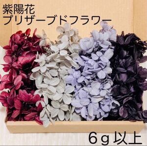紫陽花 アジサイ パープルセット プリザーブドフラワー ハーバリウム 花材 レジン
