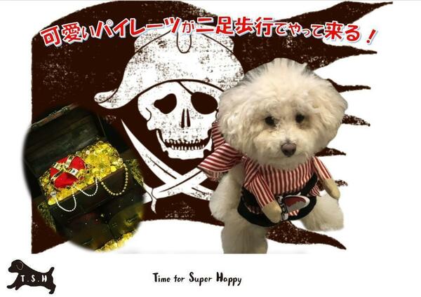 T.S.H 犬用海賊コスチューム 海賊コスプレ パイレーツ (Sサイズ）