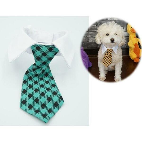 T.S.H 犬用チェック柄襟付きネクタイ（Sサイズ・緑）　ペット用コスチューム