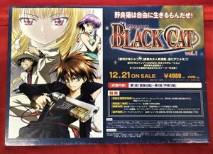 BLACK CAT ブラックキャット DVD 告知用POP 当時モノ 希少　A3755