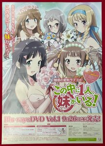B2 size anime poster that middle .1 person, sister ...! Blu-ray&DVD VOL.1 Release shop front notification for not for sale at that time mono rare B4697
