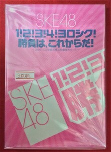 DVD SKE48 1!2!3!4!ヨロシク! 勝負は、これからだ! HMBH-1058 当時モノ 希少　D656
