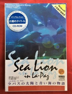 CD-ROM Sea Lion in La-Pas ラパスの太陽と青い海の物語 未開封品 当時モノ 希少　D1028