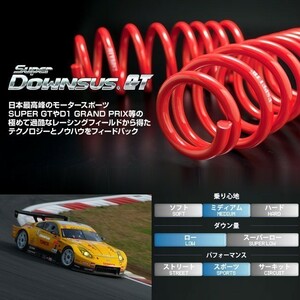 【ESPELIR/エスぺリア】 スーパーダウンサスGT 1台分 スカイラインクーペ HCR32 [ESN-163]