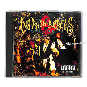 【CD/洋①】DA BUSH BABEES /AMBUSHED