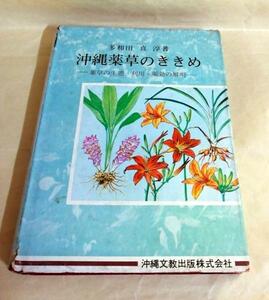 △送料無料△　沖縄薬草のききめ　多和田真淳【沖縄・琉球・植物】