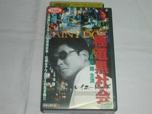 【VHS】極道黒社会 レイニードッグ 哀川翔/田口トモロヲ 中古