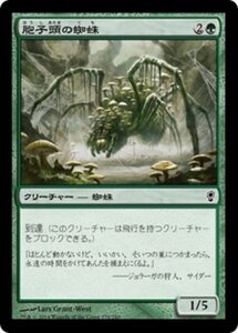 MTG ■緑/日本語版■ 《胞子頭の蜘蛛/Sporecap Spider》コンスピラシー CNS