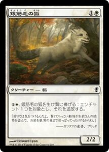 MTG ■白/日本語版■ 《銀筋毛の狐/Silverchase Fox》コンスピラシー CNS