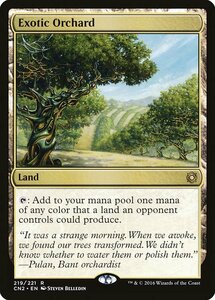 MTG ■土地/英語版■ 《風変わりな果樹園/Exotic Orchard》コンスピラシー:王位争奪 CN2