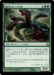 MTG ■緑/日本語版■ 《雑食のハイドラ/Hydra Omnivore》統率者2011 CMD