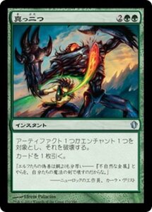 MTG ■緑/日本語版■ 《絹鎖の蜘蛛/Silklash Spider》統率者2013 C13