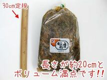 松前漬 2kg 業務用（醤油漬けの松前漬け）数の子・イカ・昆布を使用した元祖まつまえづけ マツマエヅケ※送料無料_画像3