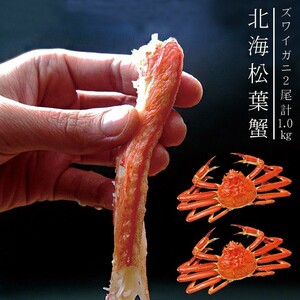 北海松葉ガニ(ズワイガニ)大2尾(ボイル)計1.0キロ 越前蟹や松葉ガニ、加能がにと呼ばれるずわいがに。解凍してすぐに食べれる松葉蟹です