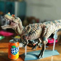 PNSO 1/35 サイズ ケラトサウルス Ceratosaurus リアル 恐竜 動物 フィギュア プラモデル モデル大人のおもちゃ プレゼント 58cm級_画像8