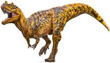 PNSO 1/35 サイズ ケラトサウルス Ceratosaurus リアル 恐竜 動物 フィギュア プラモデル モデル大人のおもちゃ プレゼント 58cm級_画像4