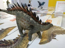 PNSO 成長シリーズ 34 トゥオジャンゴサウルス ステゴサウルス 恐竜 リアル フィギュア プラモデル おもちゃ 恐竜好き 誕生日 プレゼント_画像6