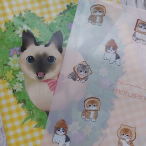 FELISSIMO猫部×のべ子地域猫チャリティークリアファイルとぢゅのmofusandクリアファイル