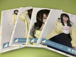 日向坂46 潮紗理菜 アウトドア衣装 生写真 4種コンプ 4枚 ひな誕祭 櫻坂46 五月雨よ CD 封入 特典 MV(まとめ セット売り可