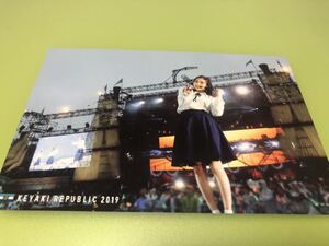 欅坂46 欅共和国2019 LIVE DVD Blu-ray 特典ポストカード 1種 1枚 ⑤(小林由依 櫻坂46 五月雨よ CD 封入 MV まとめ セット売り 可
