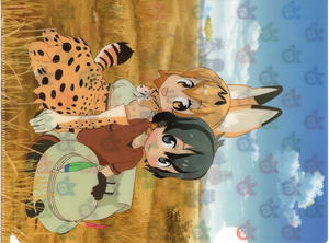 けものフレンズ クリアファイル サーバル かばんちゃん アライグマ フェネック イワトビペンギン フンボルト コウテイ ジェンツー ロイヤル