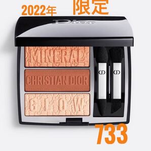 Dior 733 コーラル グロウ トリオ ブリック パレット 2022 新品