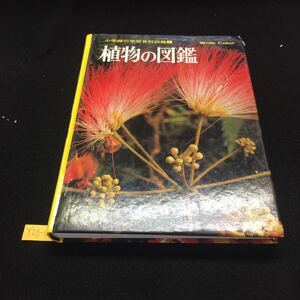 Y08-031 小学館の学習百科図鑑1 植物の図鑑 アネモネ すずらん カーネーション かすみそう ぼたん チューリップ 昭和56年発行 