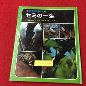 Y08-060 科学アルバム16 セミの一生 孵化 幼虫、土の中へ 幼虫の成長とくらし 幼虫のからだ目、触角 株式会社あかね書房 佐藤有恒 1977年