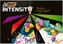 送料無料メール便 色鉛筆 Intensity 24色 Bicジャパン ITS-WDCCPPK24/1325ｘ３個セット/卸_画像5