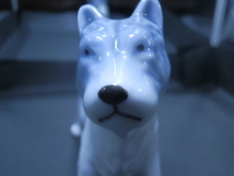 日本犬　白磁に薄いグレー　オキュペイドその前後ぐらいの想定　_画像2
