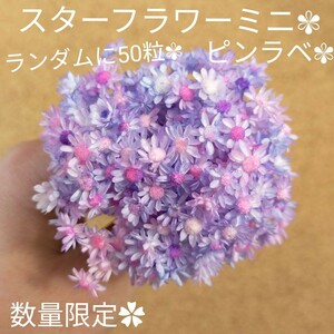 ハーバリウムボールペン　レジン アクセサリー 花材セット 気まぐれ素材　ピンラベ