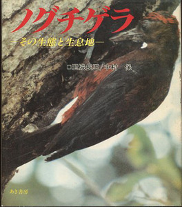 ●送料無料●　ノグチゲラ　その生態と生息地【沖縄・琉球・野鳥・天然記念物】