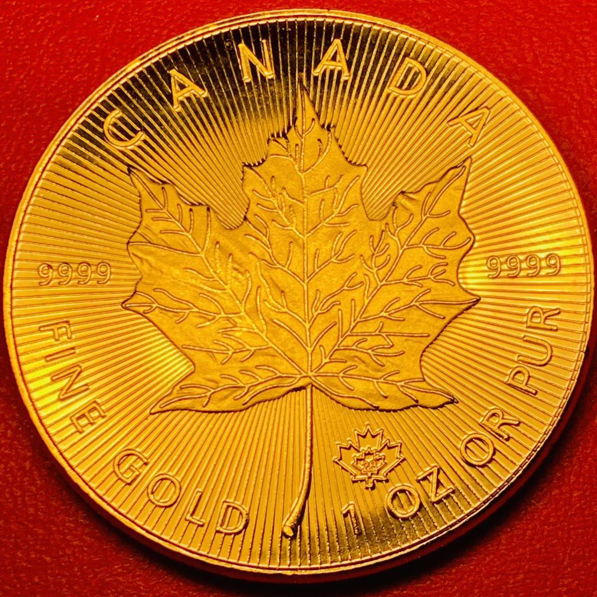 カナダ 金貨の値段と価格推移は？｜581件の売買情報を集計したカナダ 