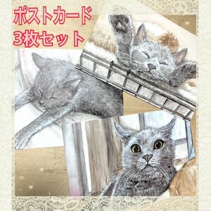 Art hand Auction オリジナル 手描きイラスト ポストカード 3枚セット 猫 複製 ブリティッシュショートヘア 水彩【あおきしずか】, 動物, ネコ, ネコ一般