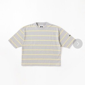 freedomLサイズフリーダムボーダービックTシャツ
