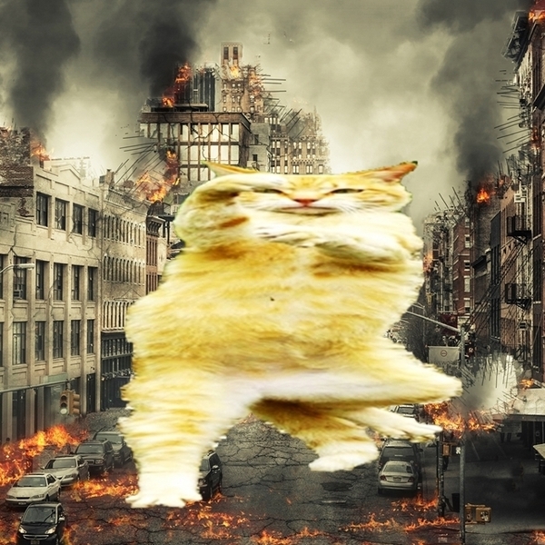 ; jt453 猫ゴジラ A4プリント アート 現代美術 猫 怪獣 ネコジラ ネゴジラ ネコゴジラ ニャジラ ねこ ネコ ニャン にゃん funny cat Art