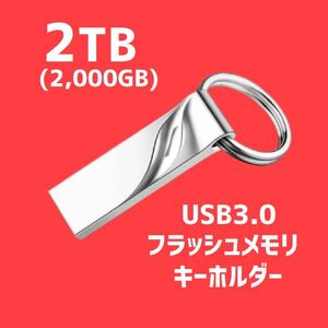 USB フラッシュメモリ 2TB (2,000GB) キーホルダー USBメモリ 大容量 PCアクセサリー シルバー 即日発送