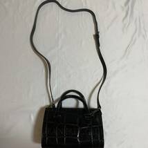 Jean Paul GAULTIER ジャンポール　ゴルチエ ゴルチェ　ミニ　バッグ　bag カバン　鞄　かばん　クロコ　2ways　shoulder bag archive_画像1