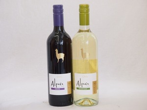  Chile production wine alpaca 2 pcs set ( red karumene-ru( full body ) white so- vi niyon* Blanc (..)) 750ml× 2 ps 