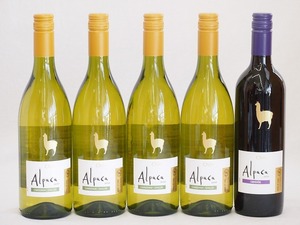  Chile production wine alpaca 5 pcs set ( red karumene-ru( full body ) white car rudone* semi yon(..)) 750ml×5ps.