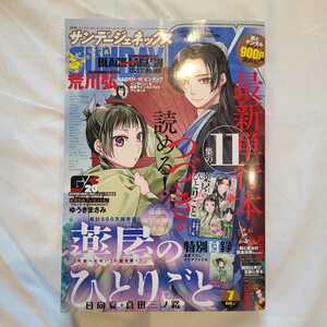 ★美品即決★月刊サンデージェネックス 2021年7月号★送料無料