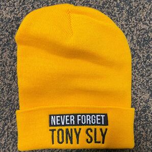 TONY SLY（NO USE FOR A NAME） Never Forget Beanie（ニットキャップ）