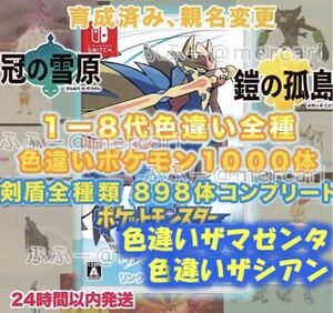 ポケットモンスター ソード シールド 全国図鑑完成 色違い全種 ゼラオラ メルメタル アルセウス ザルード